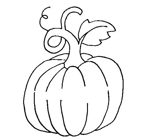 505x470 Pumpkin Coloring Page