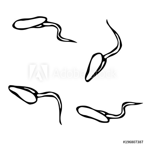 500x500 Vector Illustration Of Sprouting Seeds Seedling, Shoot, Gardening