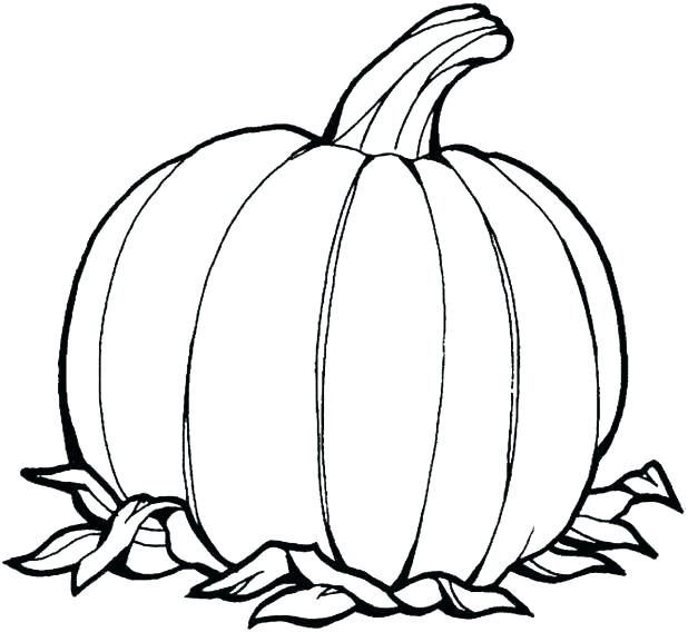 618x568 Coloring Pumpkin Templates Small Template Miniature Stencils