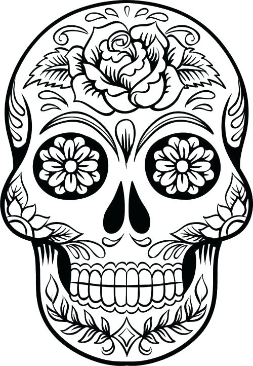 500x722 Skull Drawing Template Free Documents Download Decorated Pirate