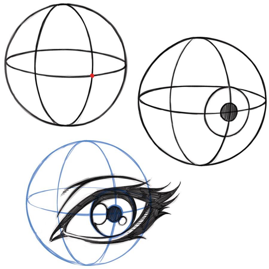 900x900 Eye Drawing Proportions And Shapes