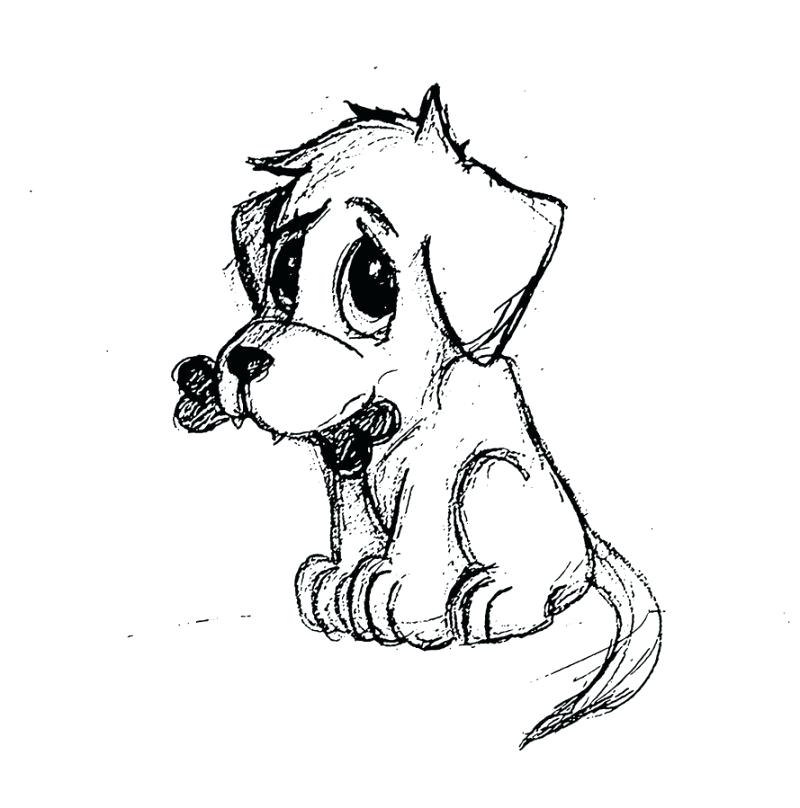 800x808 Drawings Of Puppys Drawing Of A Puppy How To Draw Puppies