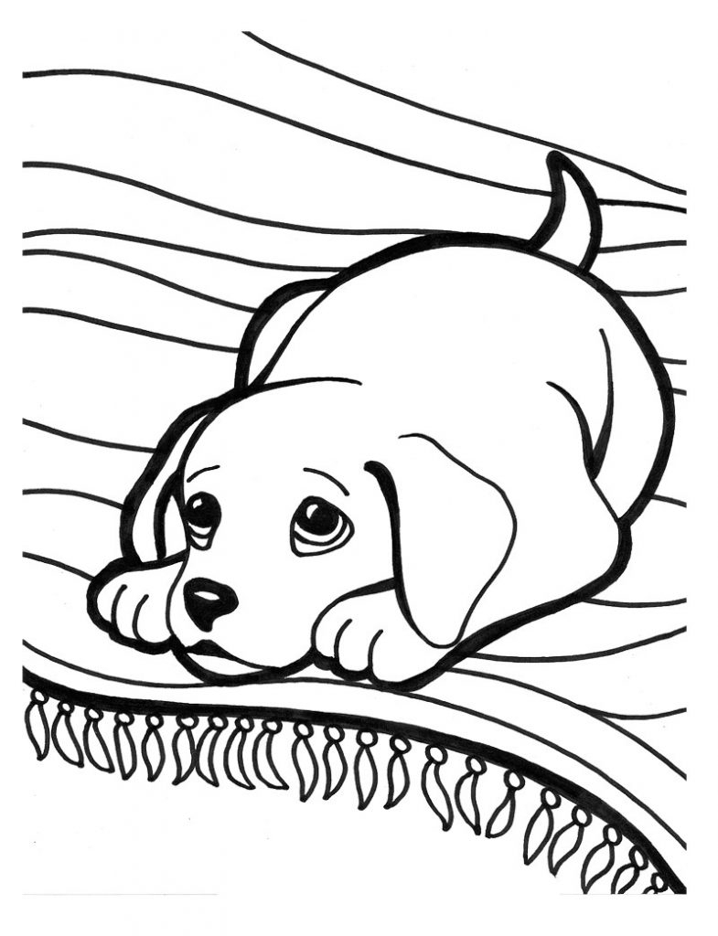 785x1024 Puppies Coloring Sheets Pages Excellent How To Draw Puppy Drawing