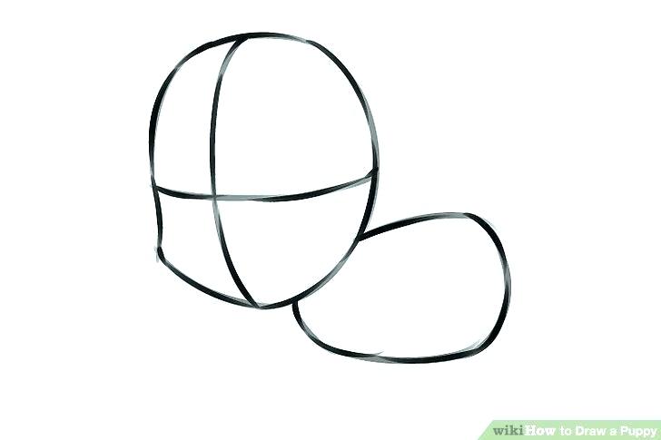 728x485 How To Draw A Cute Cartoon Puppy