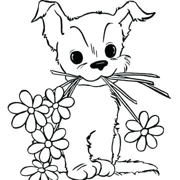 360x360 Draw A Cute Puppy Step Draw So Cute Peter Pan