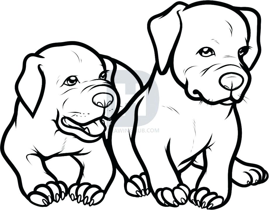 920x720 How To Draw A Baby Puppy Drawings Of Cute Animals Drawing At Com