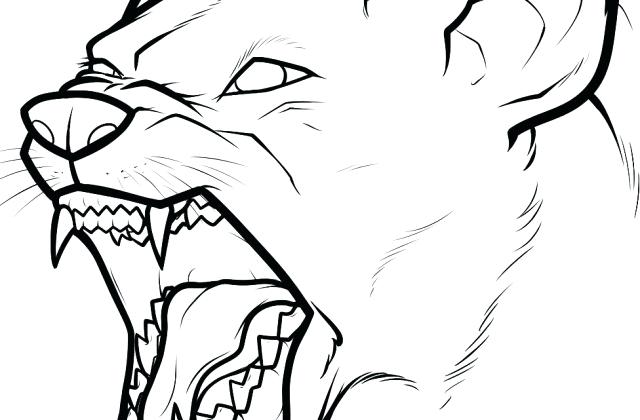 640x420 How To Draw A Realistic Pitbull Tag For How To Draw A Puppies Step