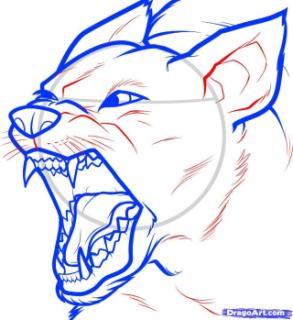 293x320 How To Draw A Cartoon Puppy Face