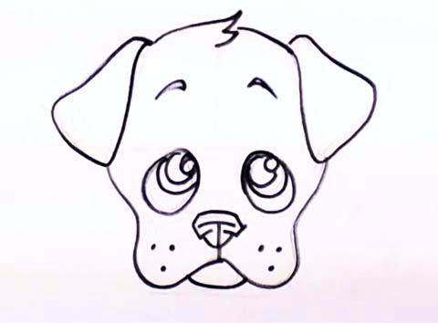 480x354 Puppy Drawing How To Draw A Puppy Face Cute Puppy Drawing Step
