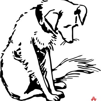 336x336 Line Drawing Cartoon Puppy Cute For Face Carmi Chaelinn