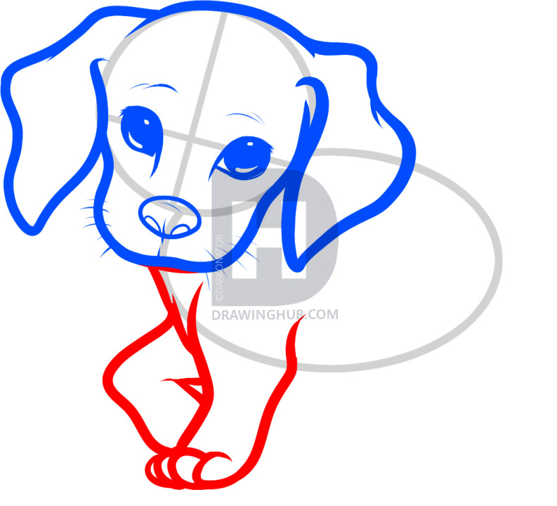 793x720 how to draw a beagle puppy, beagle puppy, step