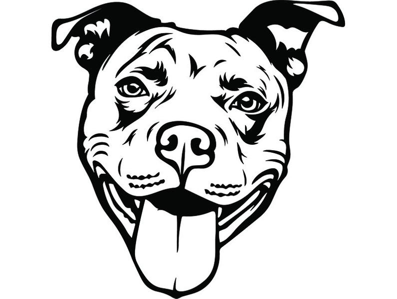 794x597 American Pit Bull Happy Smiling Dog Paw Puppy Pet Terrier Etsy