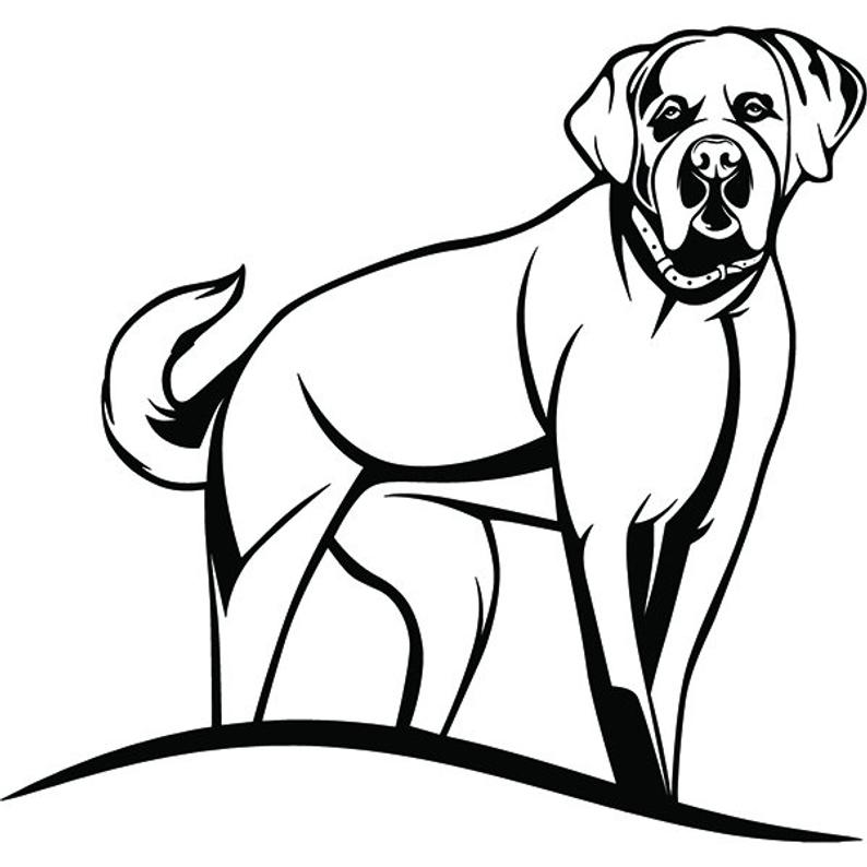 794x794 Saint Bernard Dog Happy Breed K Animal Pet Puppy Paws Etsy