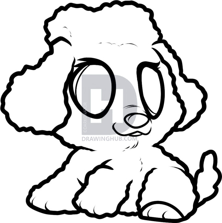 718x720 How To Draw A Poodle Puppy, Poodle Puppy, Step