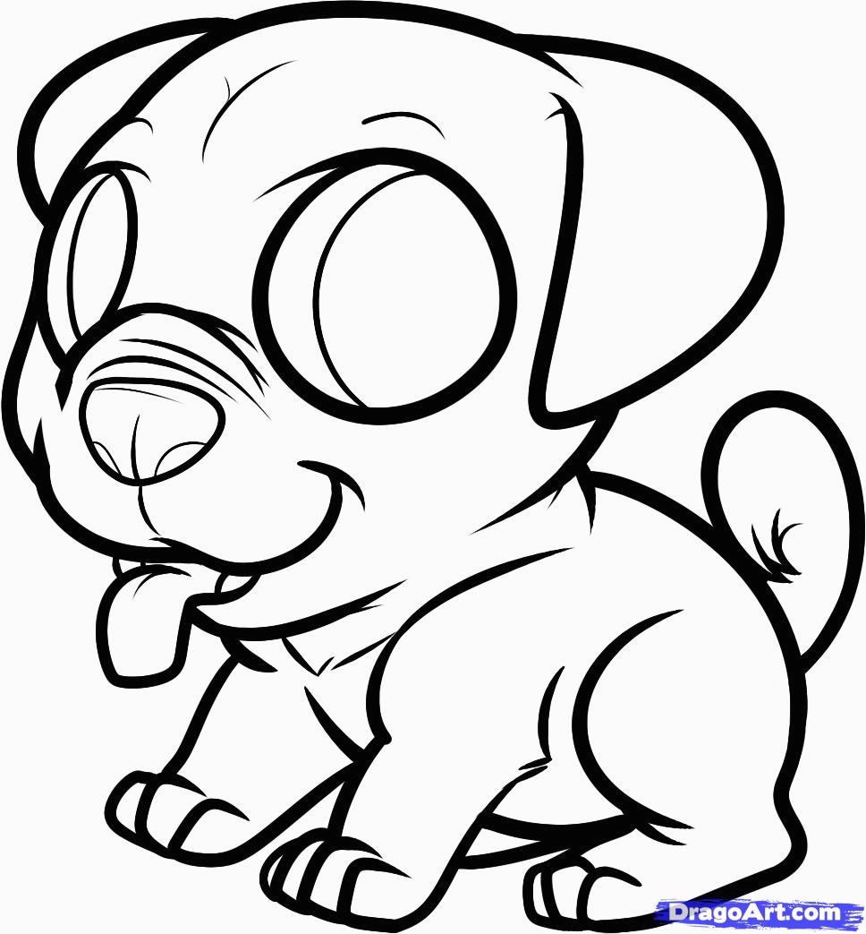 968x1043 How To Draw A Pug Puppy Pug Puppy Step