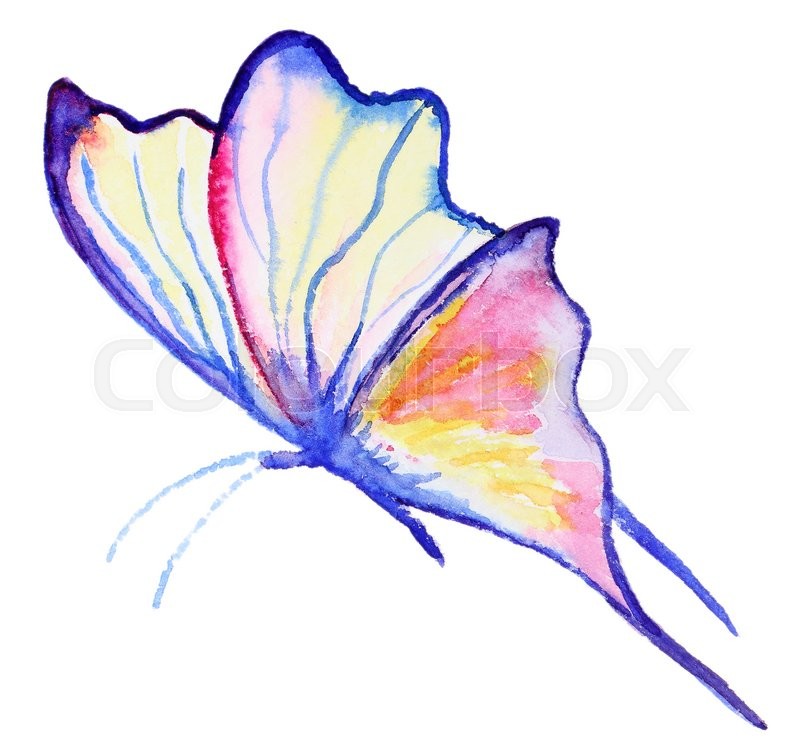 Purple Butterfly Drawing
