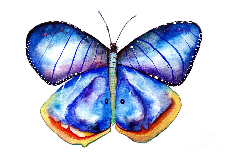 900x607 Purple Butterfly Drawing