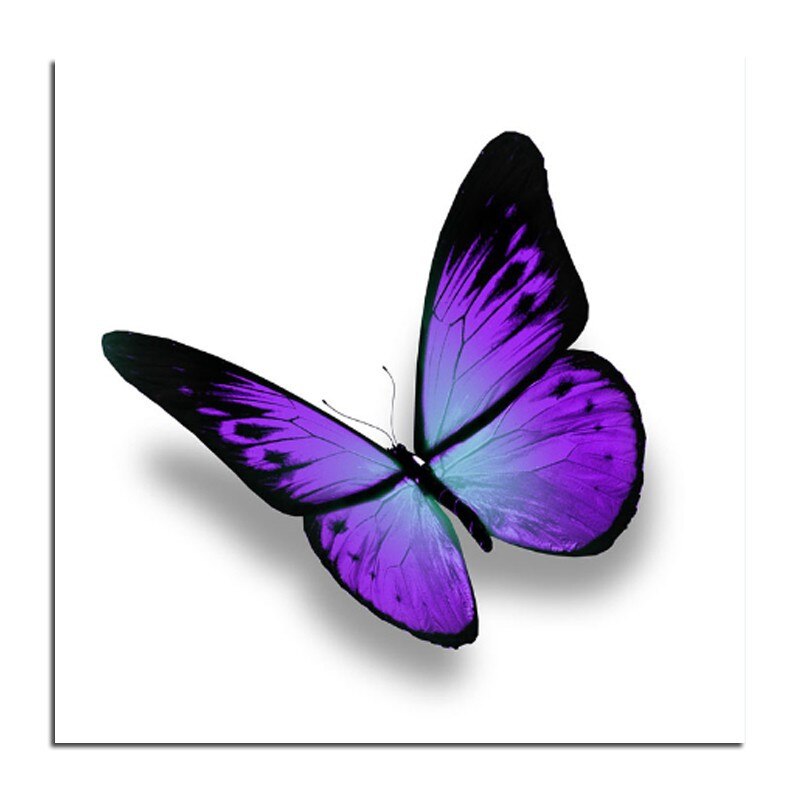 800x800 Purple Butterfly Diamond Embroidery Diy Diamond Drawing