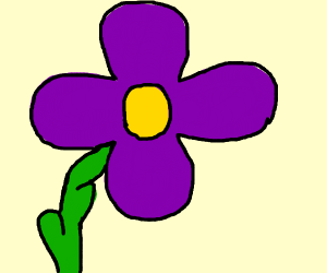 300x250 Flower Drawing