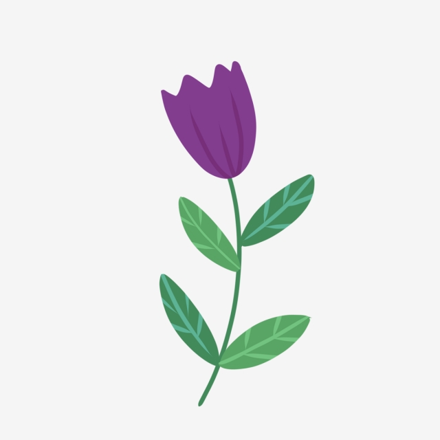 640x640 Hand Drawn Cute Purple Flower, Nature, Hand Drawn, Drawing Png