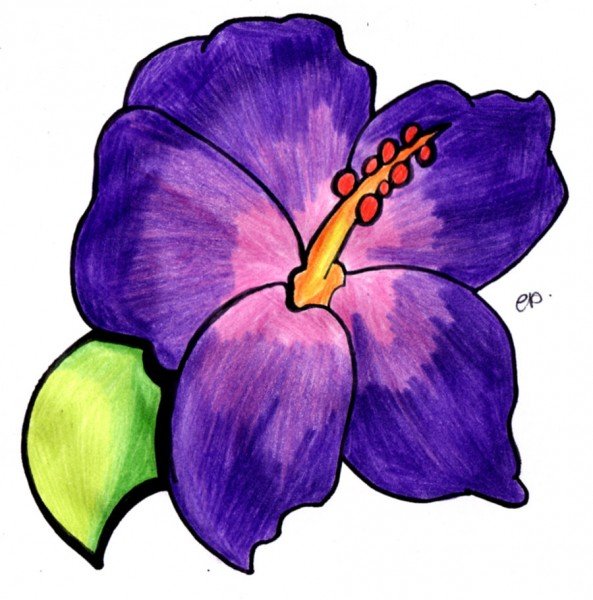 593x600 How To Draw A Purple Flower