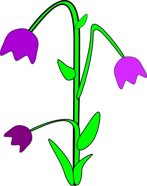 474x599 Purple Bell Flowers Clip Art Free Vector In Open Office Drawing