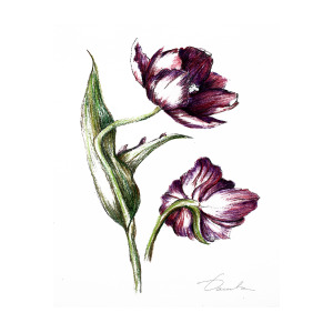 300x300 Purple Flower Painting