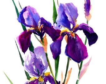 340x270 Iris Artwork Etsy