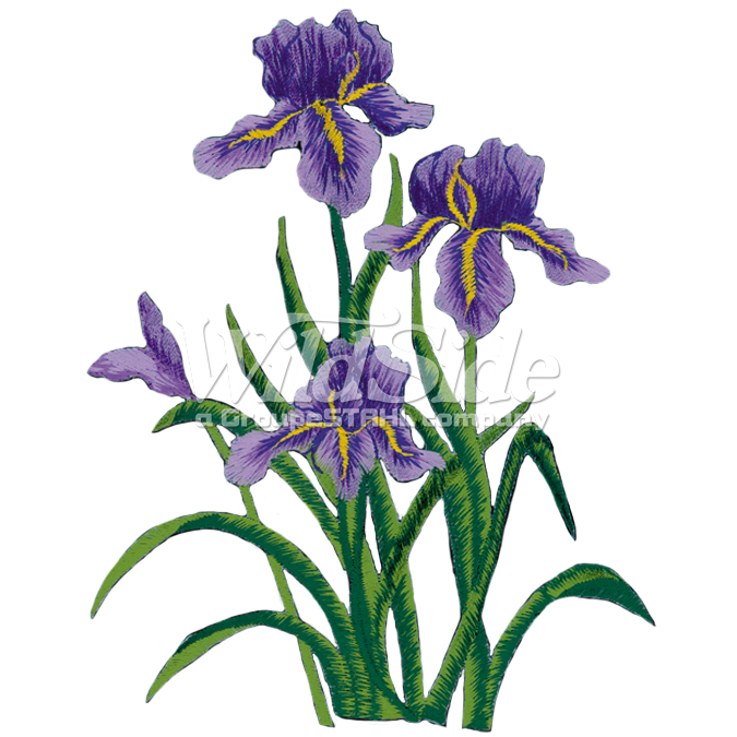 675x675 Purple Iris The Wild Side