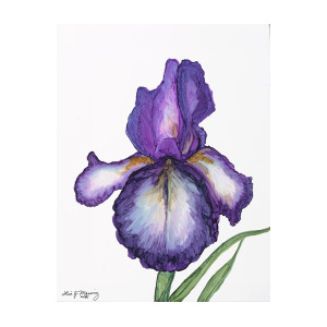 300x300 Purple Iris Painting