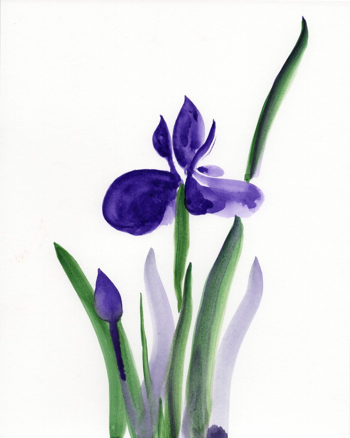 1140x1427 purple iris watercolor painting, purple flowers wall art, purple