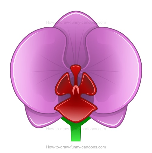 500x503 How To Draw An Orchid