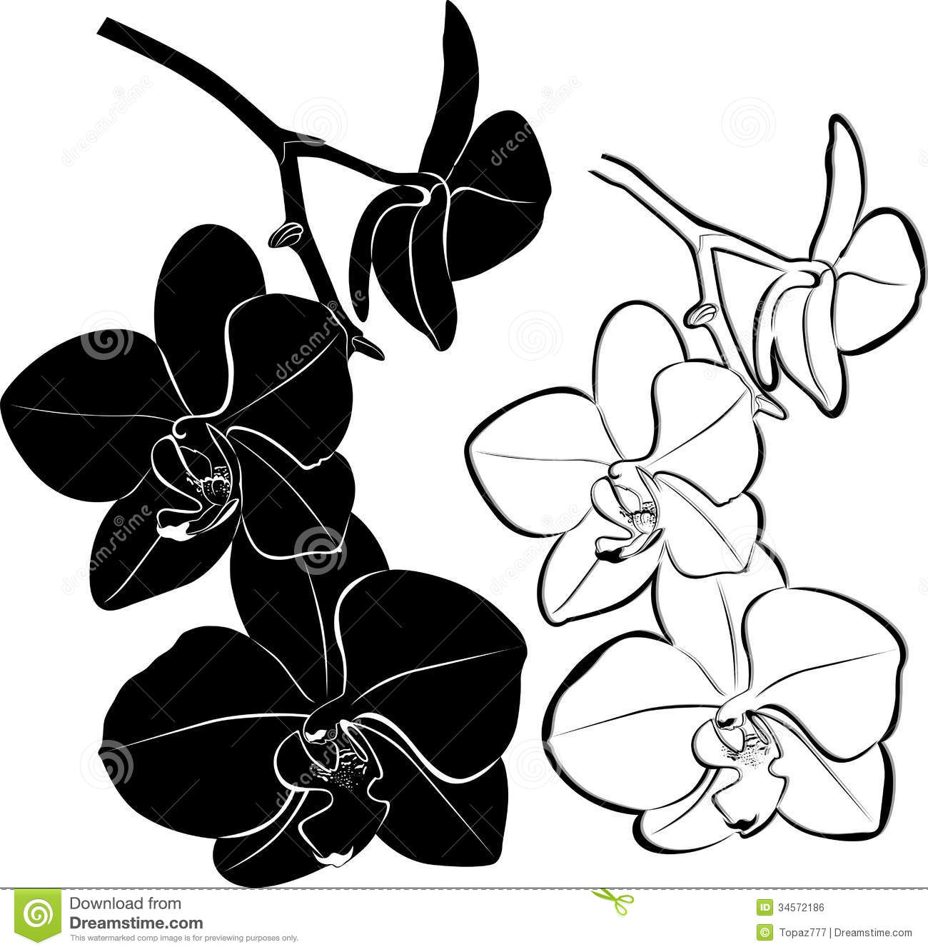 1300x1333 Orchid Flower Clipart Black And White