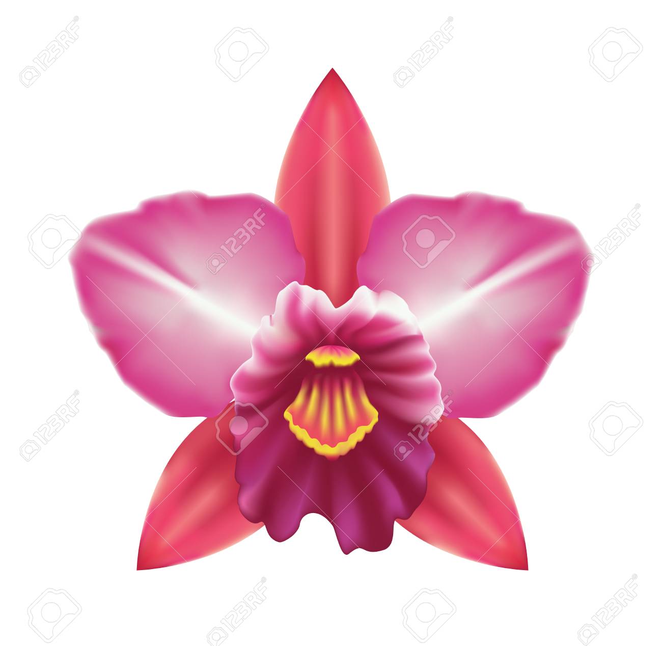 1300x1268 Purple Orchid Flower Clipart