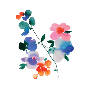 300x300 Purple Orchid