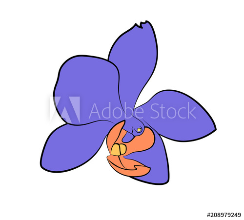 500x451 Vector Illustration, Isolated Purple Orchid Flower, Outline Hand