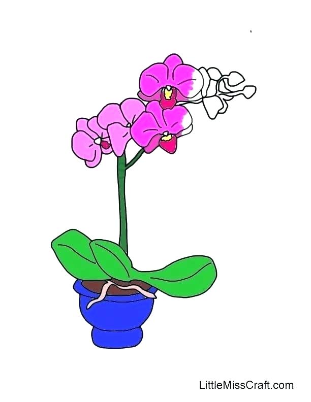 612x792 Violet Flower Coloring