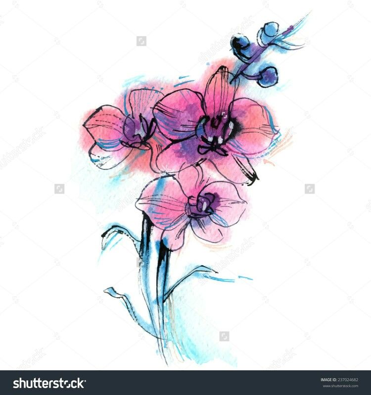 750x800 abstract water color orchid artsy fartsy watercolor orchid