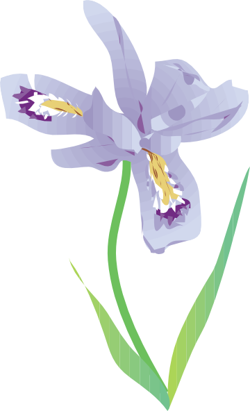 360x592 Collection Of Free Violet Drawing Iris Flower Download On Ui Ex