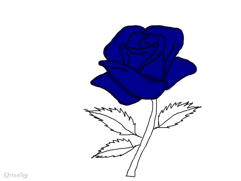 800x600 How To Draw Anime Rose