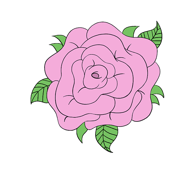 Purple Rose Drawing | Free download on ClipArtMag