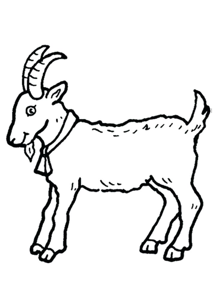 724x1024 Coloring Picture Of A Goat Coloring Pages Farm Animals Cute Goat
