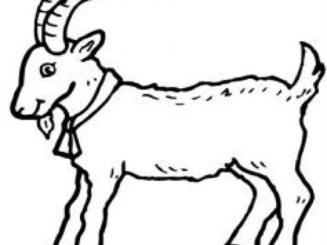 Pygmy Goat Drawing | Free download on ClipArtMag