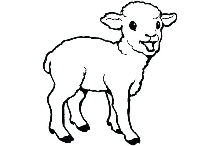 720x480 Goat Drawing Tiny For Free Download