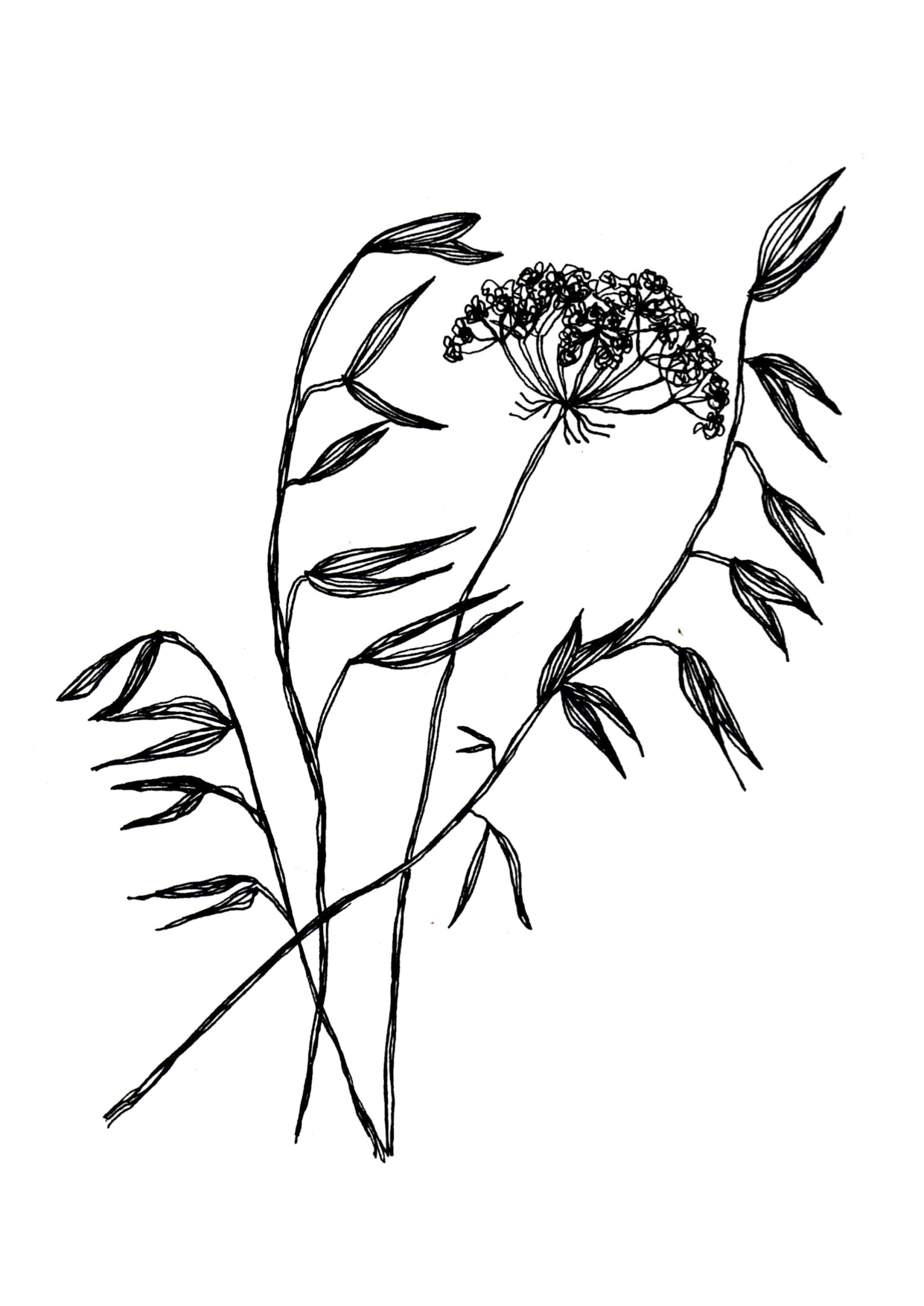 1241x1754 Drawing Kate Hodgson Jewellery Design