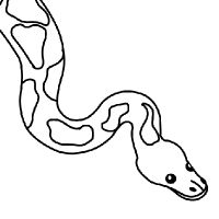 200x200 coloring python snake drawing drawings, python snake, animal