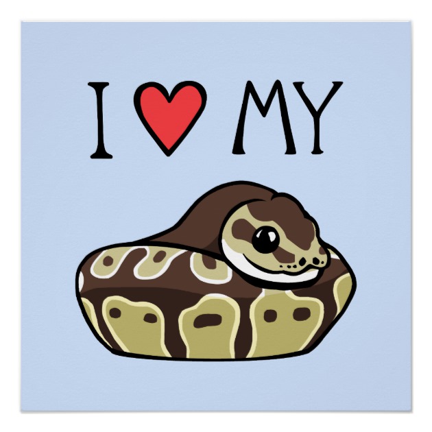 630x630 I Love My Ball Python Cute Snake Drawing Poster