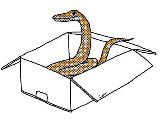 576x430 python paypal engineering medium