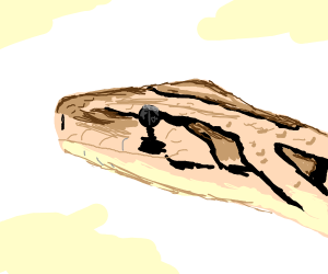 300x250 Burmese Python