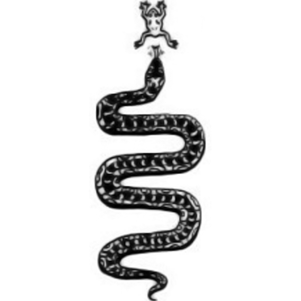 Python Snake Drawing